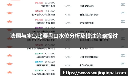 法国与冰岛比赛盘口水位分析及投注策略探讨